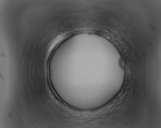 X0000091090006200708061009