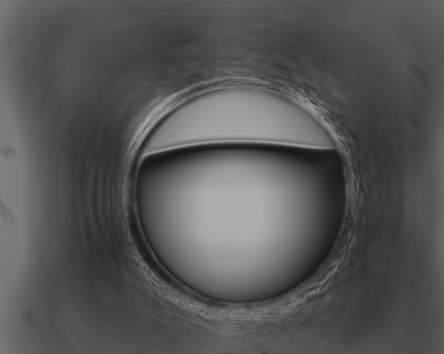 X0000091090007200708061009