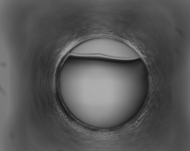 X0000091090008200708061009