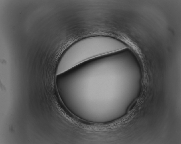 X0000091090009200708061009