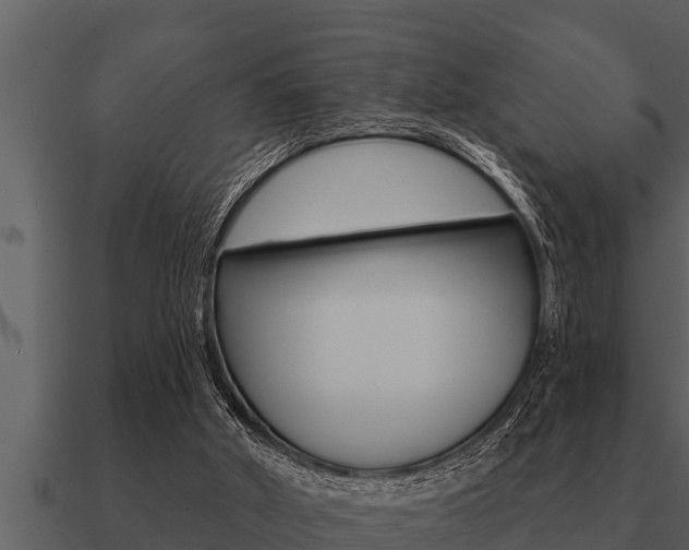 X0000091090010200708061009