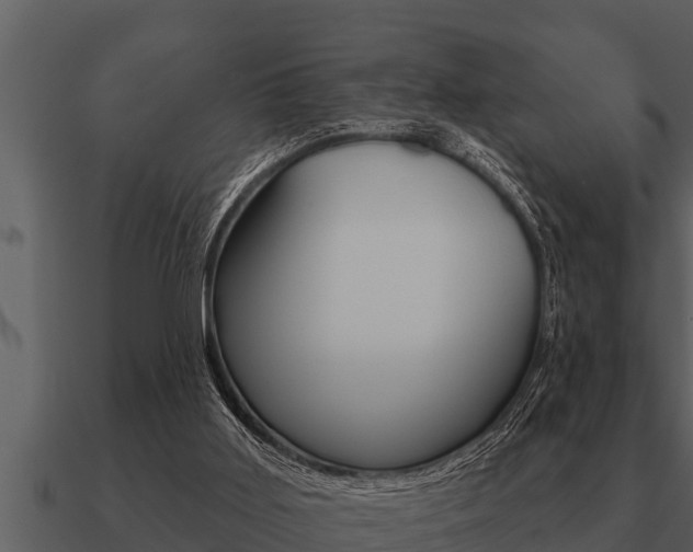 X0000091090011200708061009