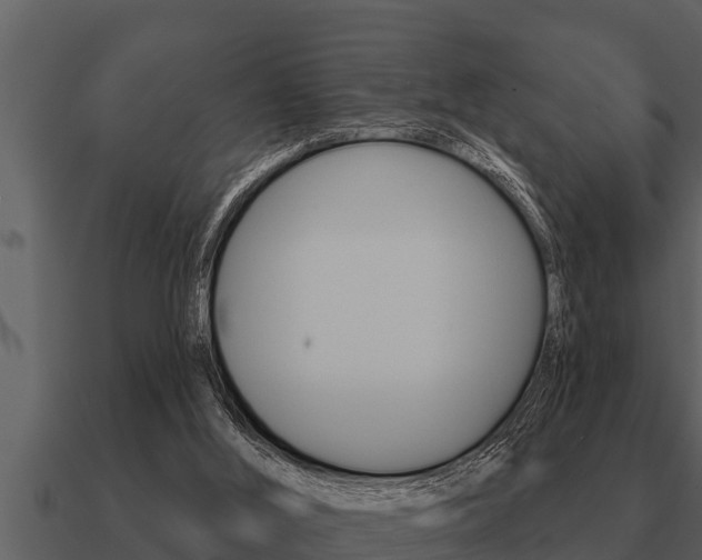 X0000091090012200708061009