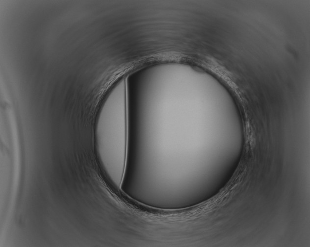X0000091090013200708061009