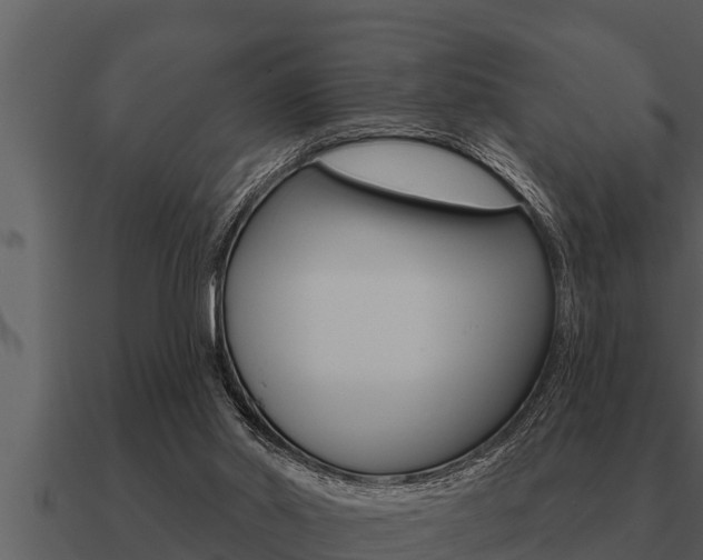X0000091090014200708061009