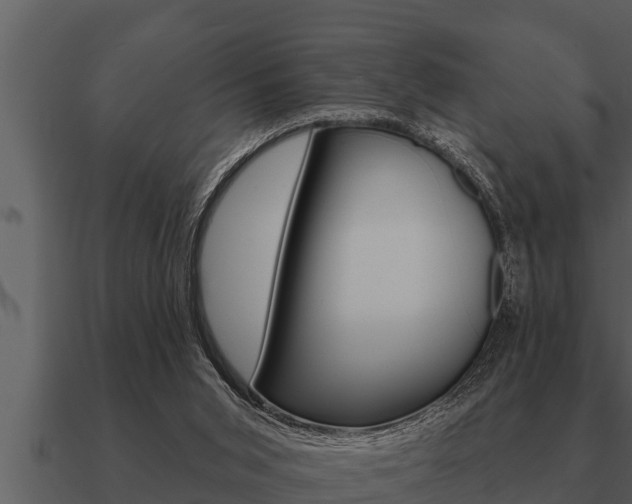 X0000091090015200708061009