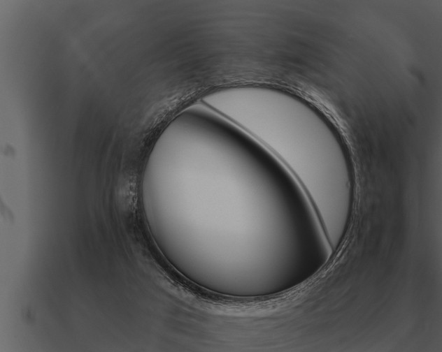 X0000091090017200708061009