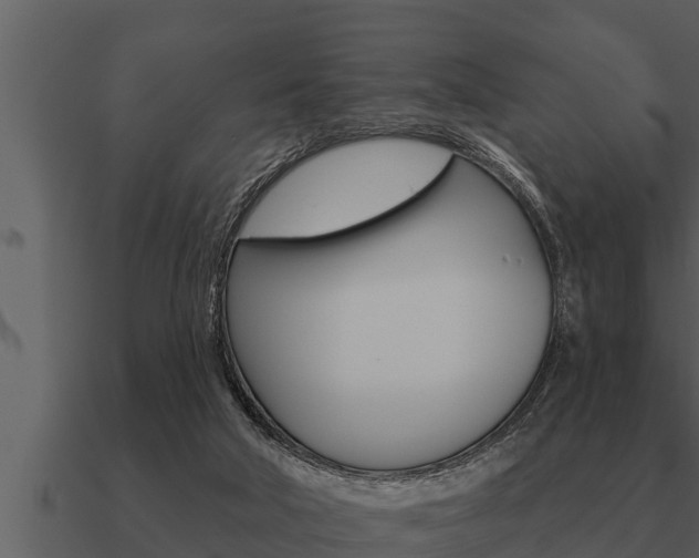 X0000091090018200708061009