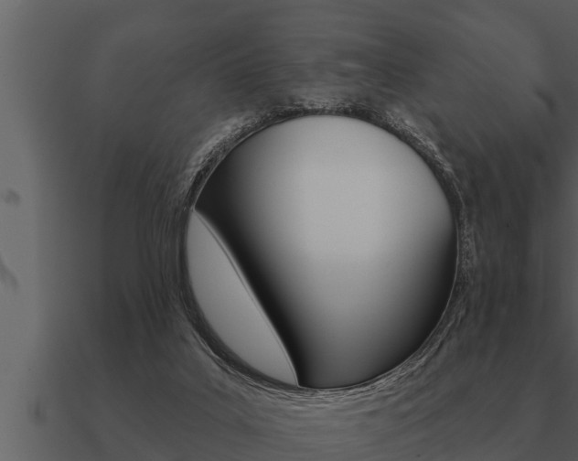 X0000091090019200708061009