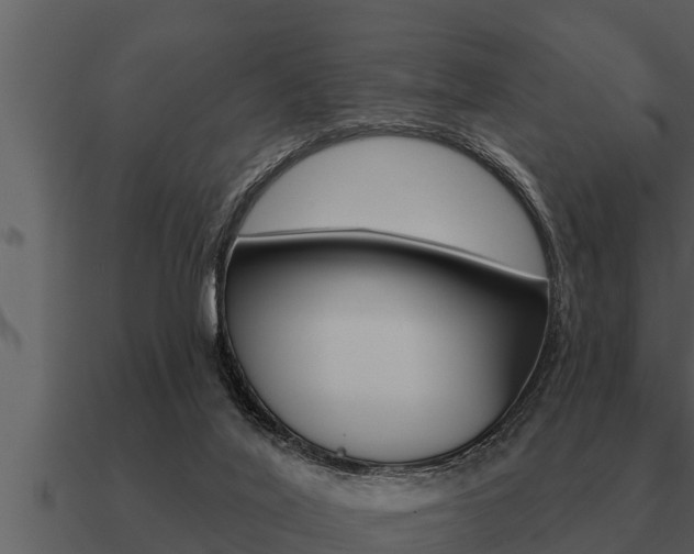 X0000091090020200708061009