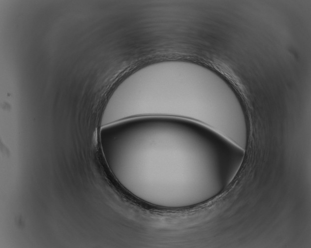 X0000091090021200708061009