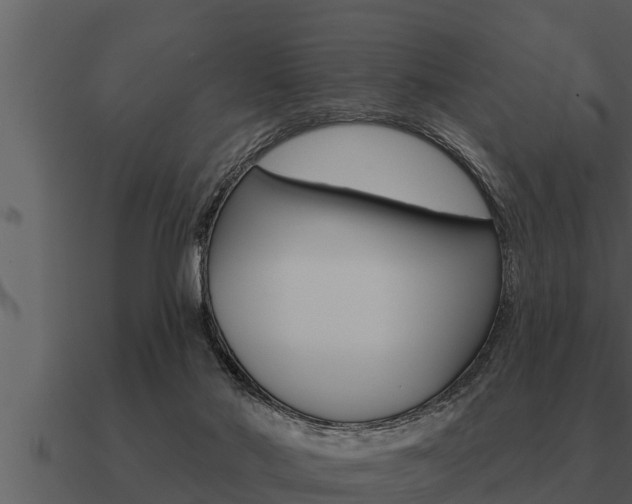 X0000091090022200708061009