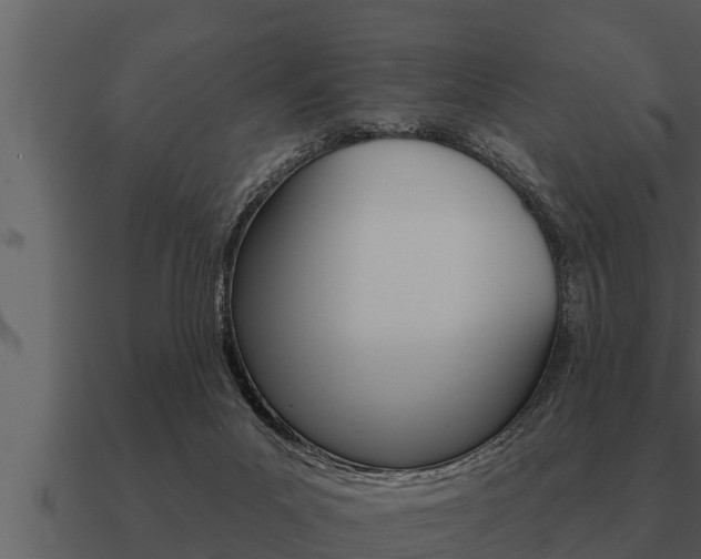 X0000091090023200708061009