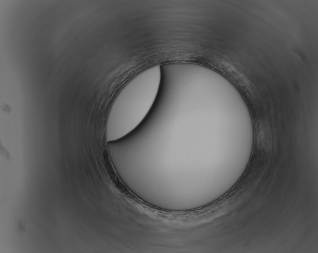 X0000091090026200708061009