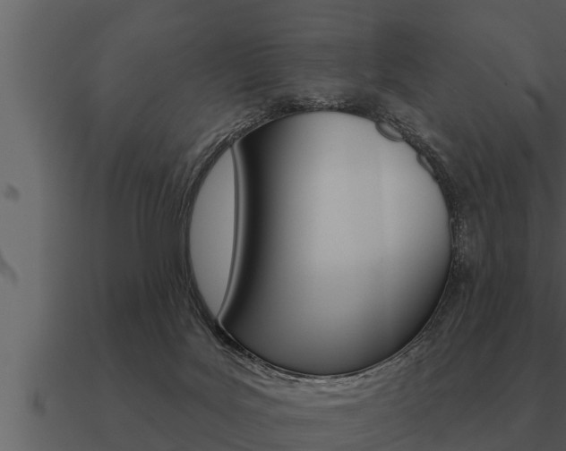 X0000091090027200708061009