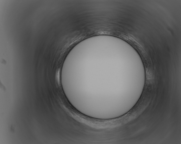 X0000091090028200708061009