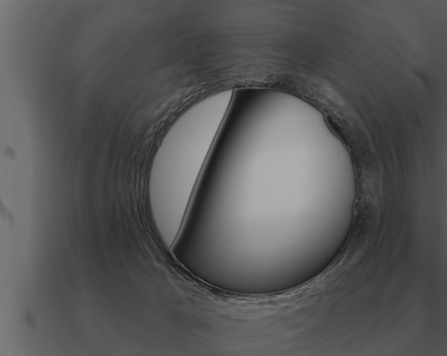 X0000091090029200708061009
