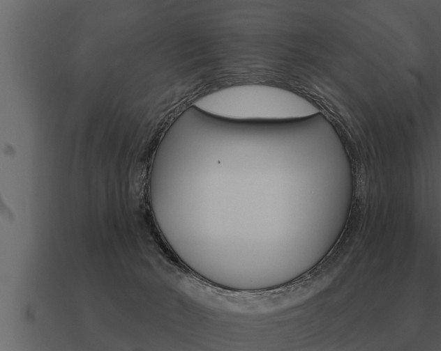 X0000091090030200708061009