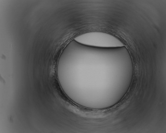X0000091090032200708061009