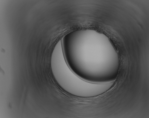 X0000091090033200708061009