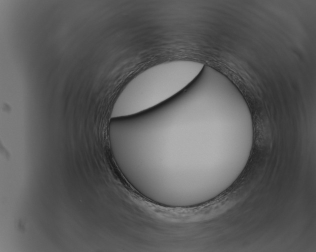 X0000091090034200708061009