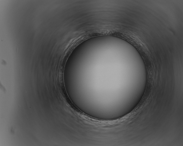 X0000091090035200708061009