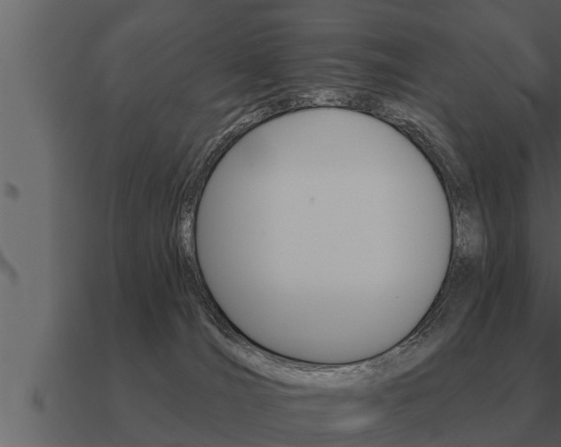X0000091090036200708061009