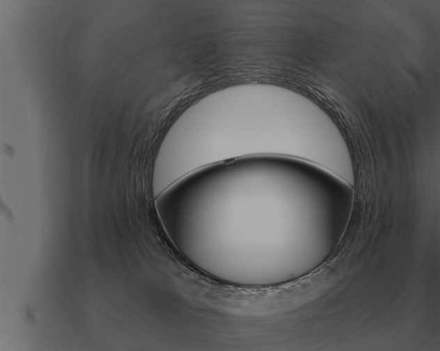 X0000091090037200708061009