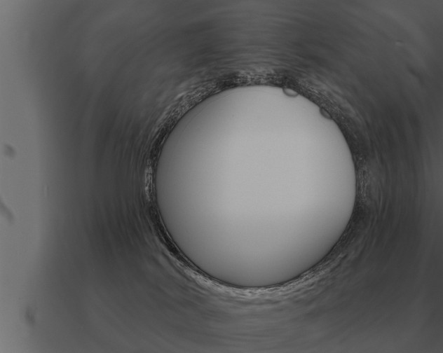 X0000091090038200708061009