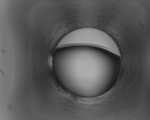 X0000091090041200708061009