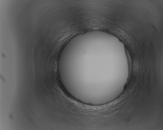 X0000091090043200708061009