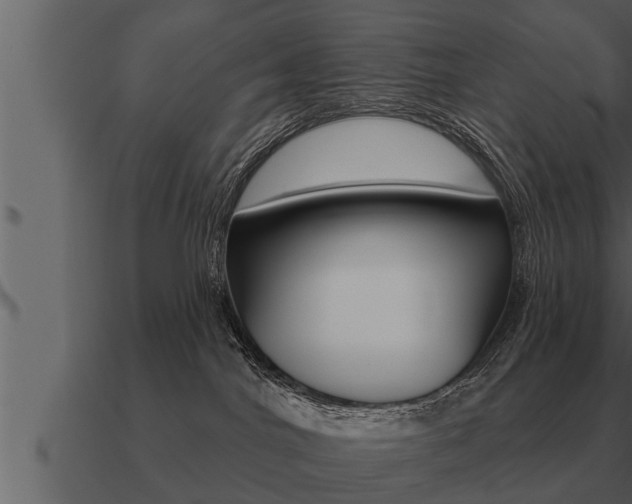 X0000091090044200708061009