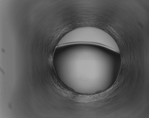 X0000091090045200708061009