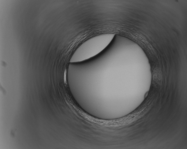 X0000091090046200708061009