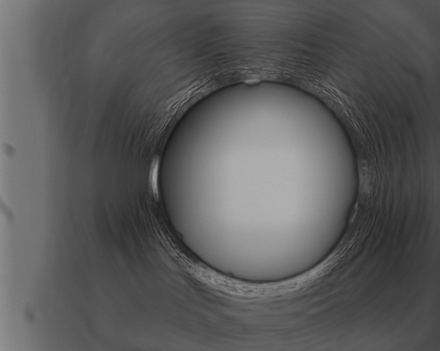 X0000091090047200708061009