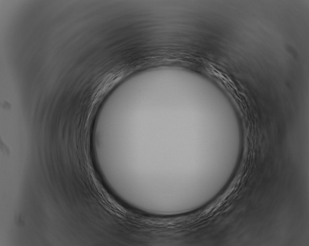 X0000091090049200708061008