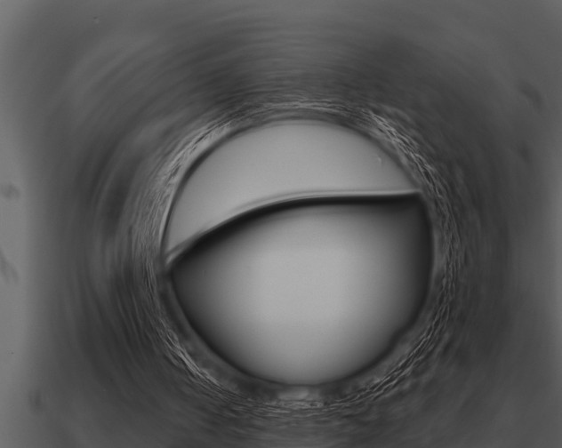 X0000091090050200708061008