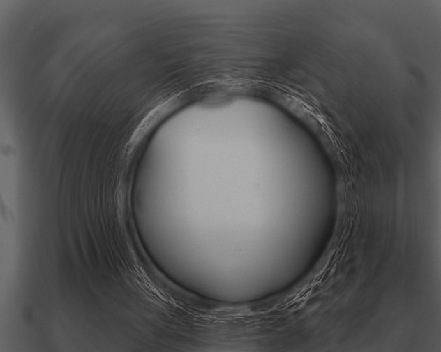 X0000091090051200708061008