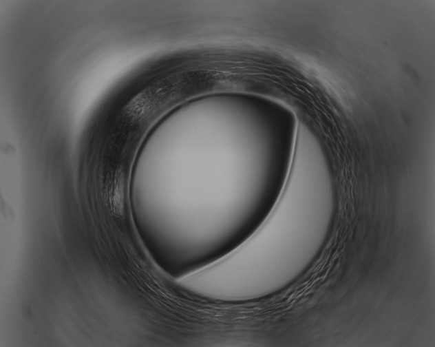 X0000091090052200708061008