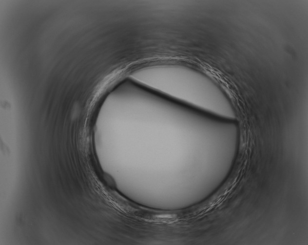 X0000091090053200708061008
