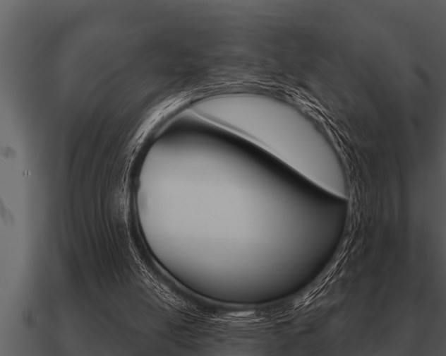 X0000091090054200708061008
