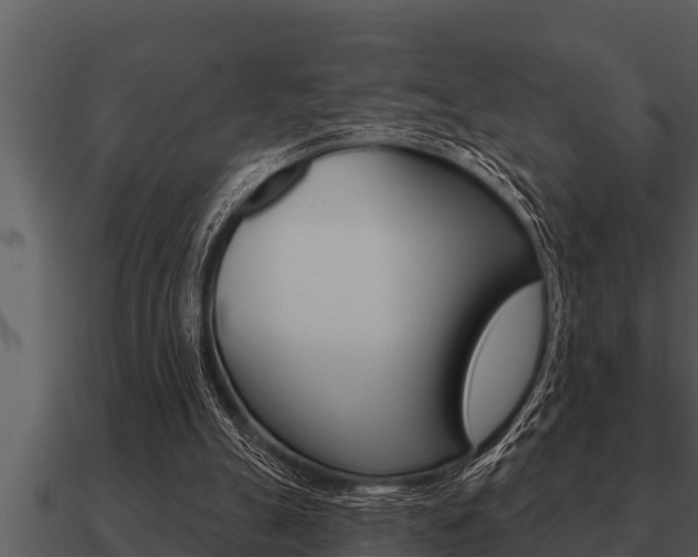 X0000091090055200708061008
