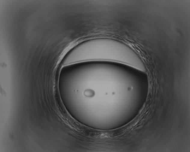 X0000091090056200708061008
