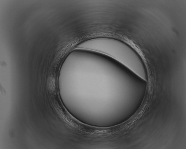 X0000091090057200708061008
