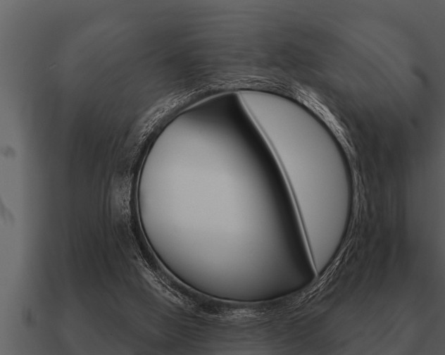 X0000091090058200708061008