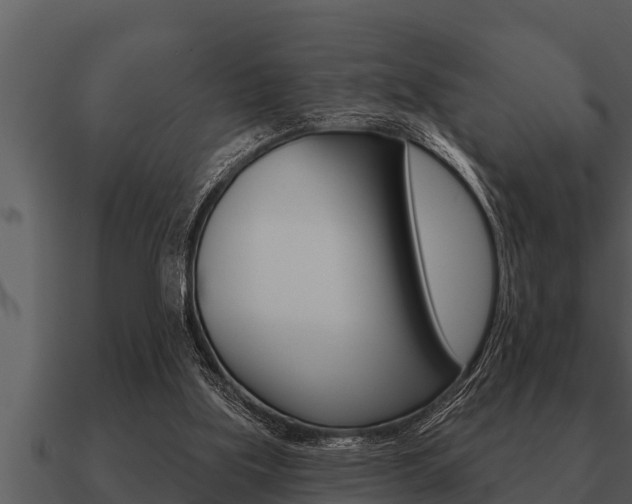 X0000091090059200708061008