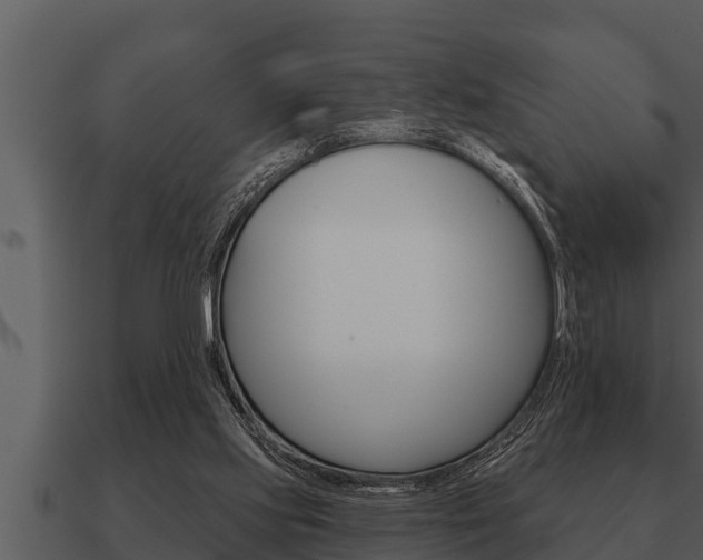 X0000091090061200708061008