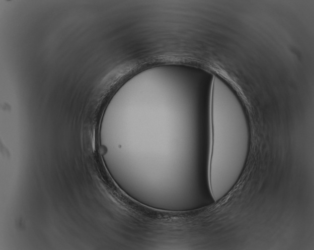 X0000091090062200708061008