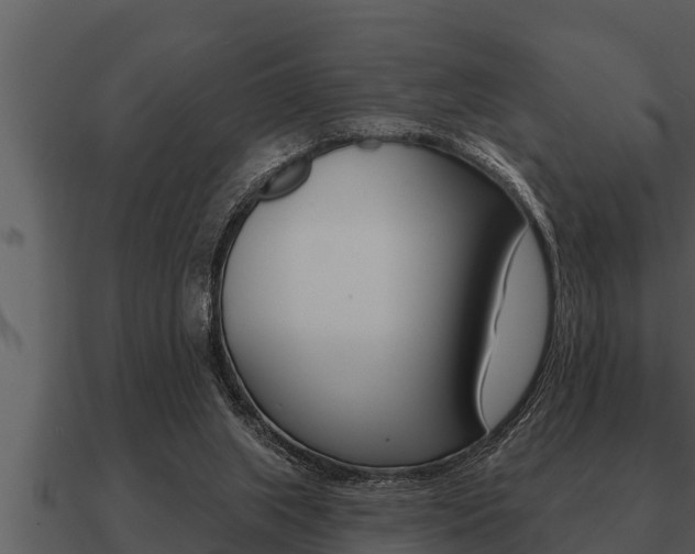 X0000091090063200708061008