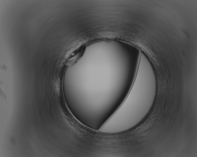 X0000091090064200708061008